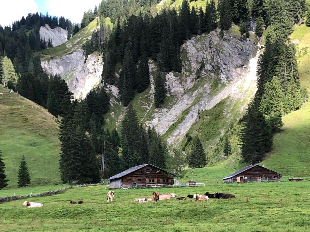 Walli Laterns - Ski Und Bergvergnuegen Direkt Vor Der Haustuer Exterior foto
